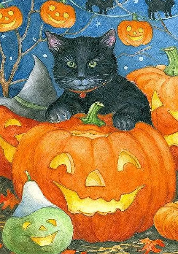 Custom DeCor Black Cat Pumpkin Flag New