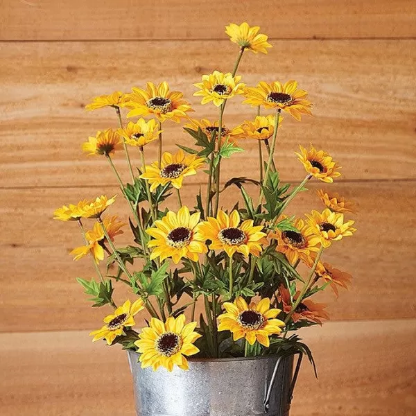 Raz Black Eyed Susan Spray Sale