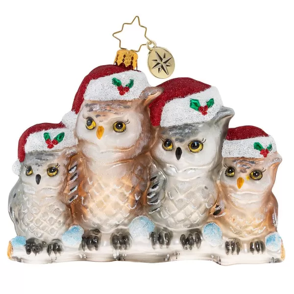 Christopher Radko Cr, It'S Owl In The Family, 1020506, Store