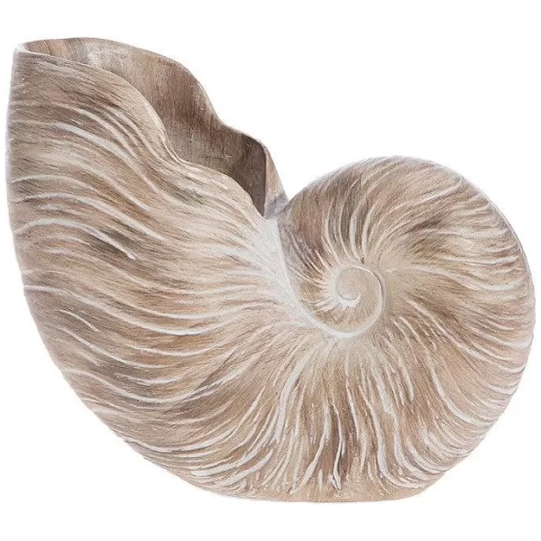 Raz Nautilus Shell Vase Hot