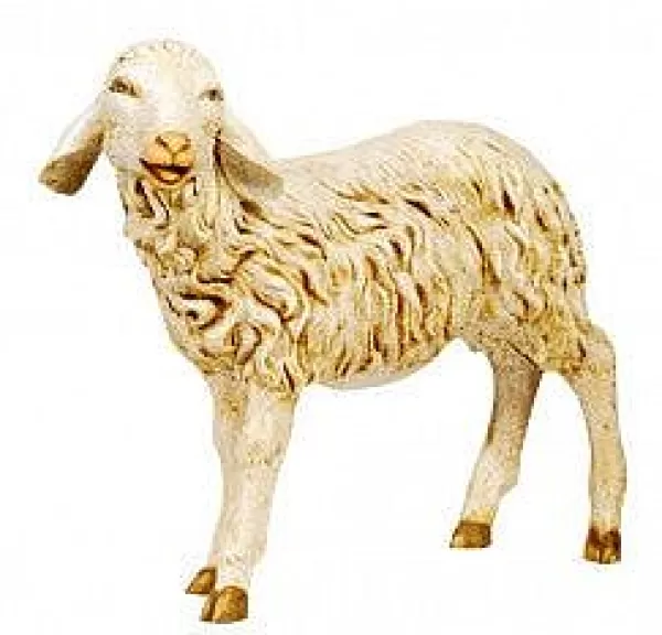 Fontanini Sheep W/Head Turned 50", , 52337 New