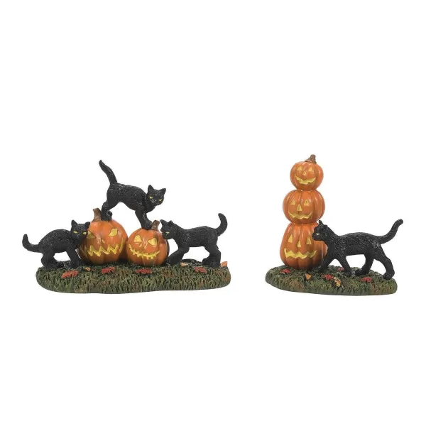 Department 56 Va, Scary Cats Pumpkins St/2, 6012285, Online