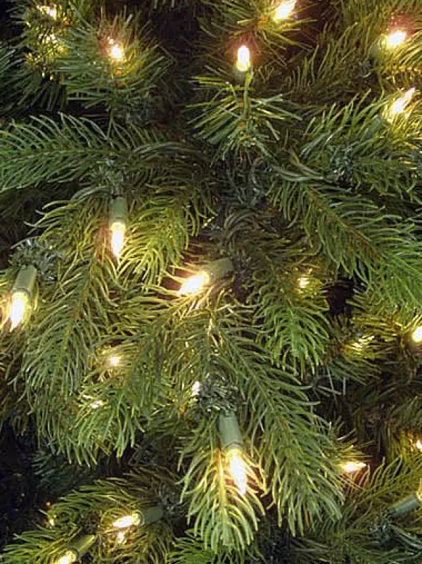 Neuman Tree Virginia Fir 7.5', , 89579L Sale